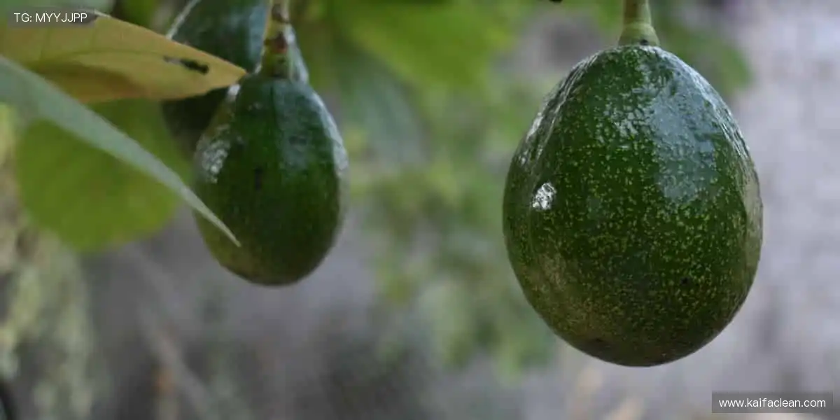 MG电子宝石之轮：转动宝石之轮，赢取巨额财富